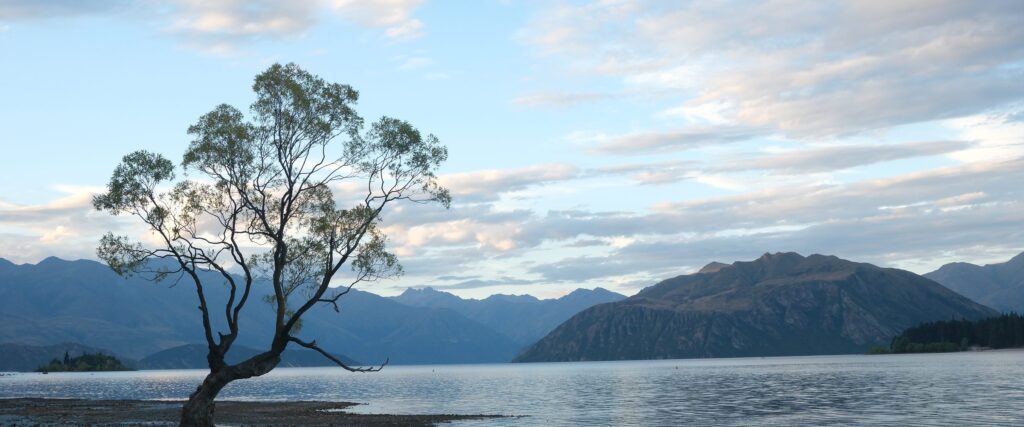 El árbol de Wanaka en el lago, con montañas al fondo
