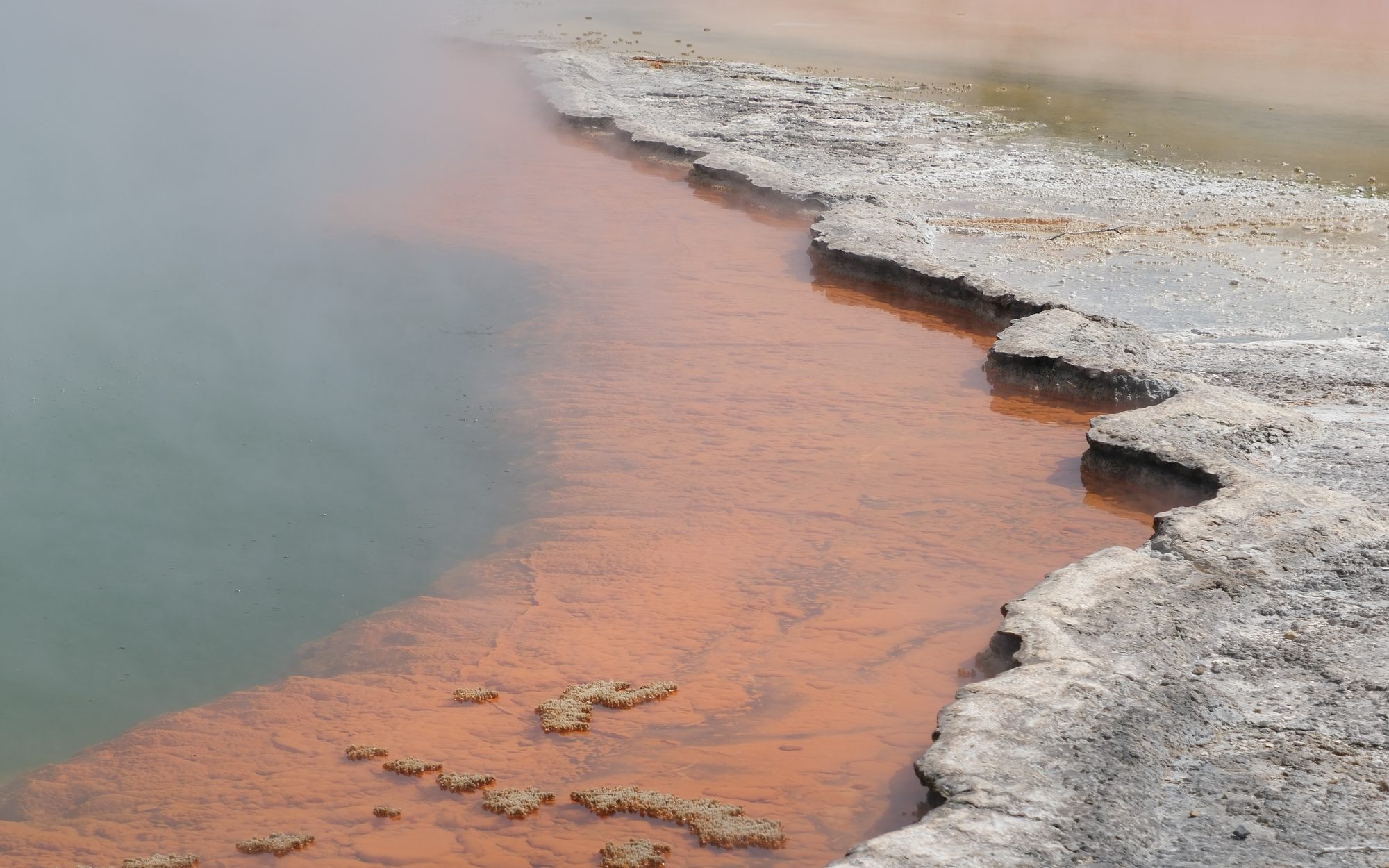 Piscina geotérmica de bordes naranjas en Wai-O-Tapu, cerca de Rotorua